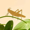 Brass Plant Accessory: Grasshopper - Freshie & Zero Studio Shop