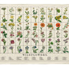 Wildflowers Tea Towel - Freshie & Zero Studio Shop