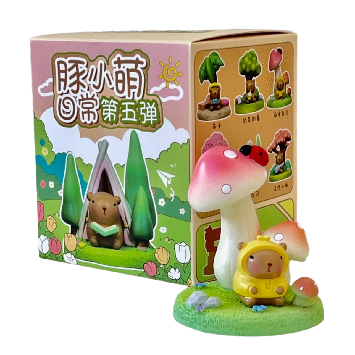 Copiapoa Mudball Blind box 6体コンプリートセット Copiapoa Mudball Blind Box Series by Robin Huang