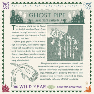 The Wild Year: A Field Guide For Exploring Nature All Around Us - Freshie & Zero Studio Shop