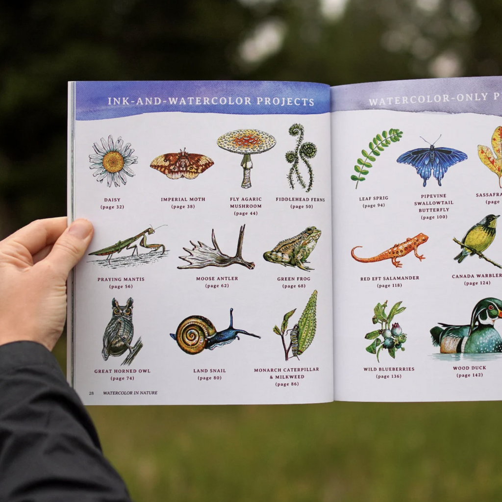 Watercolor In Nature: Woodland Wildlife & Botanicals - Freshie & Zero Studio Shop