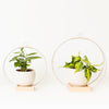 Braid & Loom Plant Hanger large white (Light & Airy) - Freshie & Zero Studio Shop