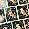 Barn Owl Sticker - glossy - Freshie & Zero Studio Shop