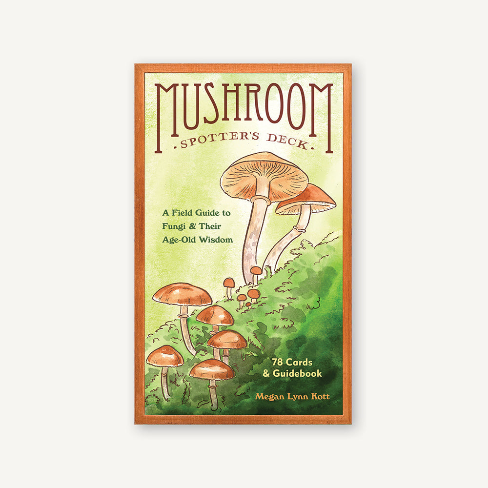 Mushroom Spotter's Deck - Freshie & Zero Studio Shop