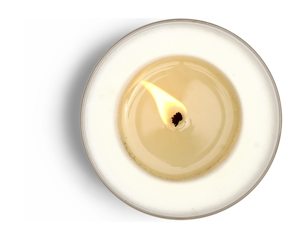 Misc. Goods Soy Candle: Valley of Gold (7 oz.) - Freshie & Zero Studio Shop