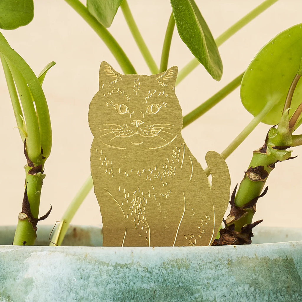 Brass Plant Pet: Cat