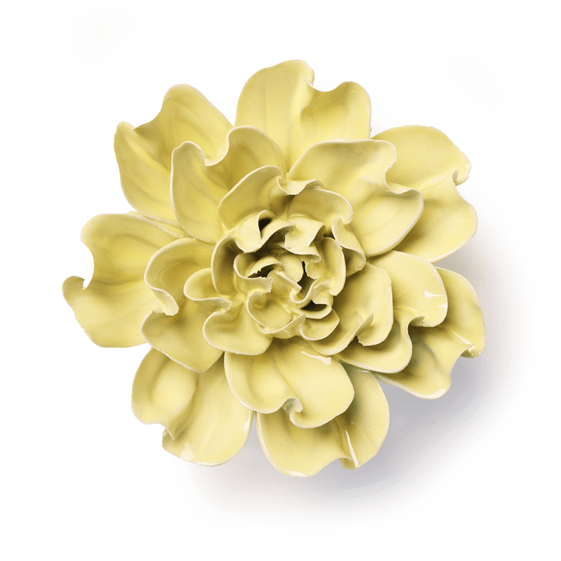 English Garden Collection Ceramic Wall Flower: 5.25" Lime Yellow Larkspur - Freshie & Zero Studio Shop