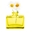 Mini Glass Rectangle Bud Vase - Yellow - Freshie & Zero Studio Shop