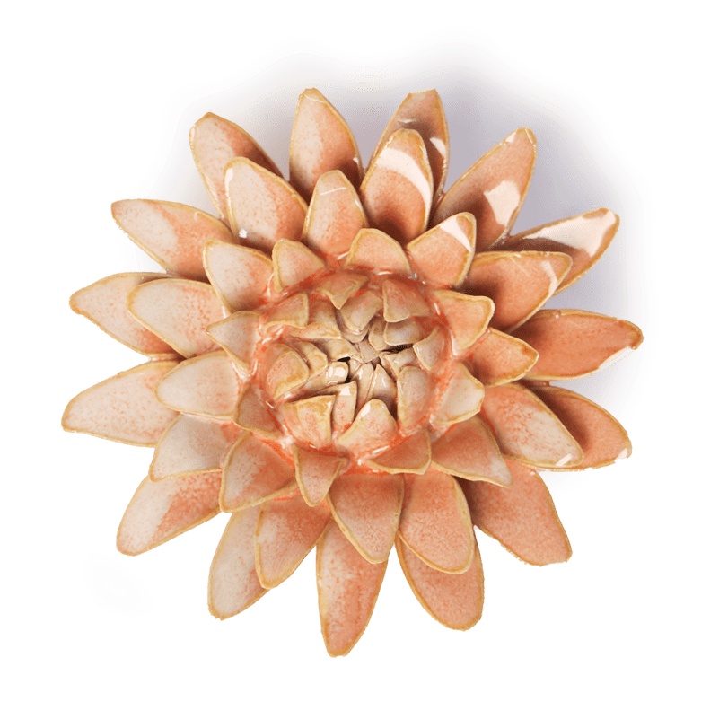 France Collection Ceramic Wall Flower: 4" Peach Pink Strawflower - Freshie & Zero Studio Shop