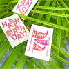 Stannie & Lloyd birthday mini enclosure greeting cards with colorful designs and space for personalized messages.