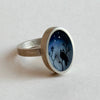 Nighttime Owl Ring by Fernworks - Freshie & Zero Studio Shop