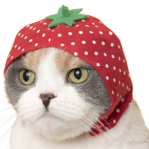 strawberry beanie hat cap for cats by kitan club