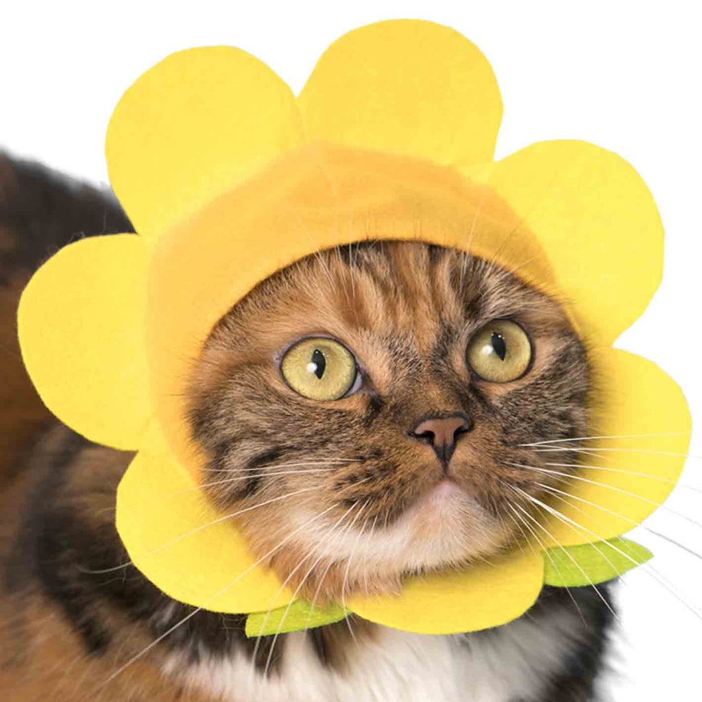 Flower Cap for Cats Blind Box - Freshie & Zero Studio Shop