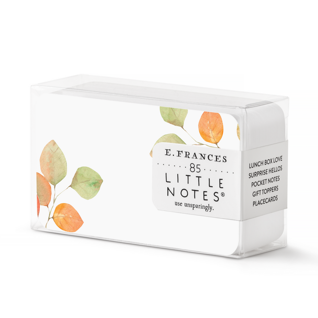 Little Notes Notecards - Winter & Fall - Freshie & Zero Studio Shop