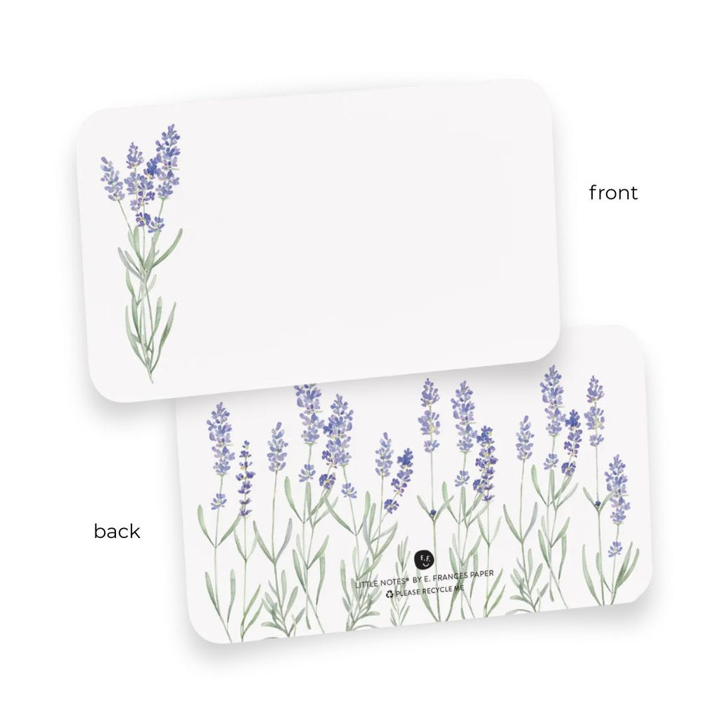 Little Notes® Box of 55 Cards by E. Frances Paper - Freshie & Zero Studio Shop