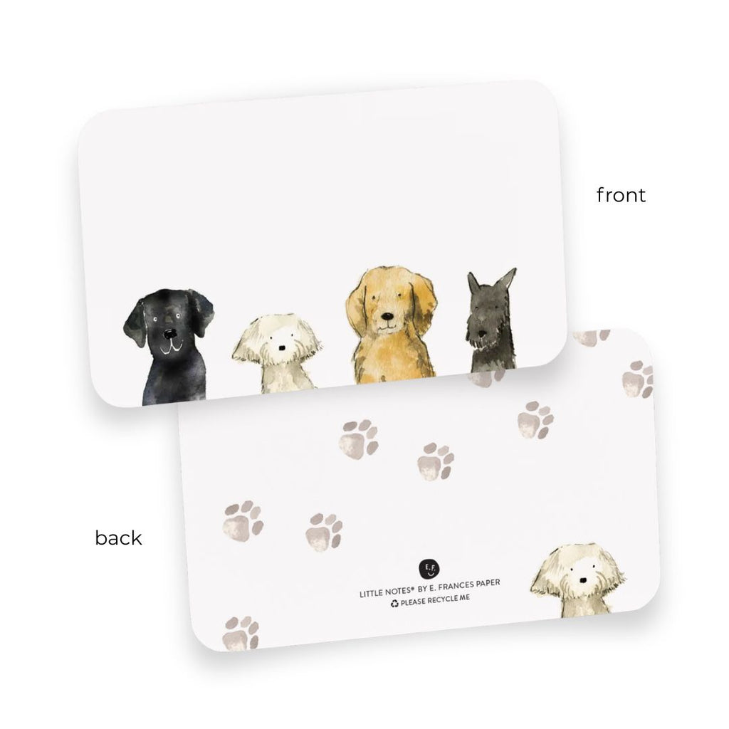 Little Notes® Box of 55 Cards by E. Frances Paper - Freshie & Zero Studio Shop