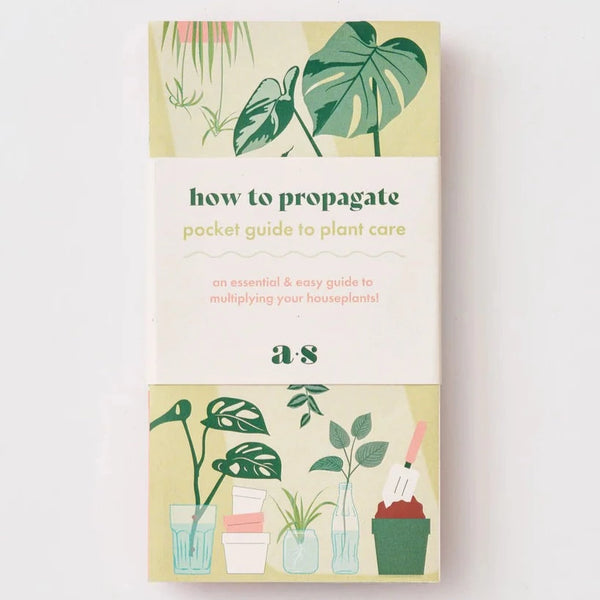 How To Propagate: A Pocket Guide To Multiplying Your Houseplants! - Freshie & Zero Studio Shop