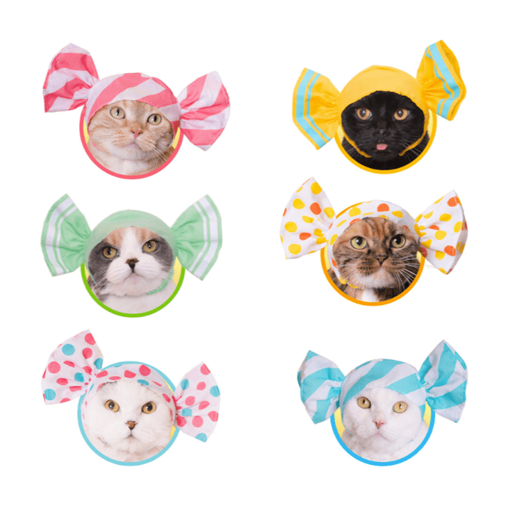 Candy Cap for Cats Blind Box - Freshie & Zero Studio Shop