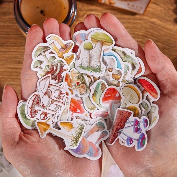 Little Box of Kawaii Paper Stickers: Mushroom Forest Green - Freshie & Zero Studio Shop