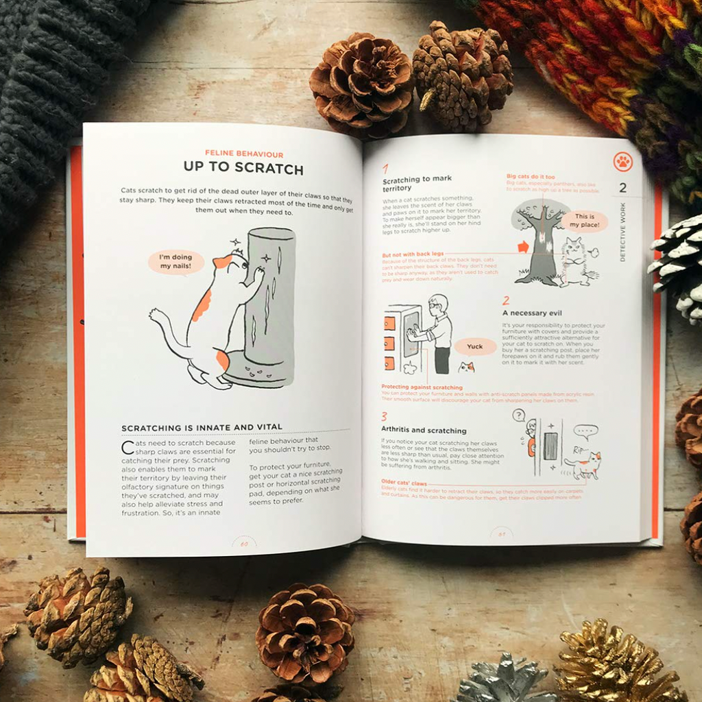 What Cats Want: An illustrated guide for truly understanding your cat - Freshie & Zero Studio Shop
