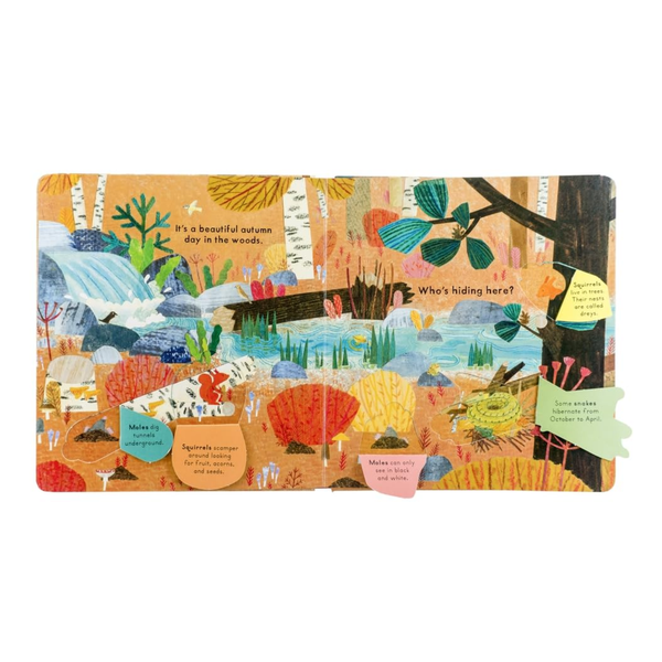 Cover of "Who's Hiding in the Woods?" book by Penguin Random House LLC, featuring woodland animals hidden among trees.