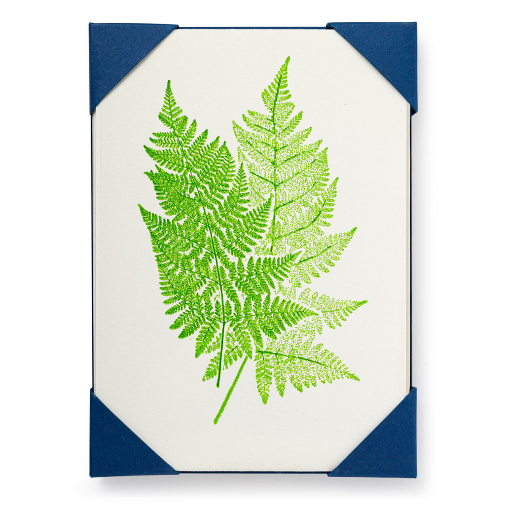 Fern Notecards Set - Freshie & Zero Studio Shop