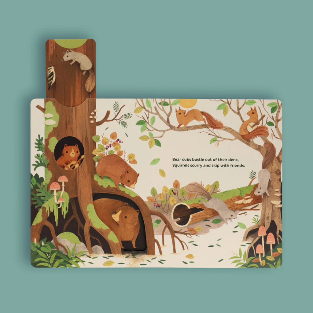 Sunrise Dance Interactive Board Book - Freshie & Zero Studio Shop