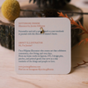 Cicada Notebook Charm by Justine Gilbuena - Freshie & Zero Studio Shop