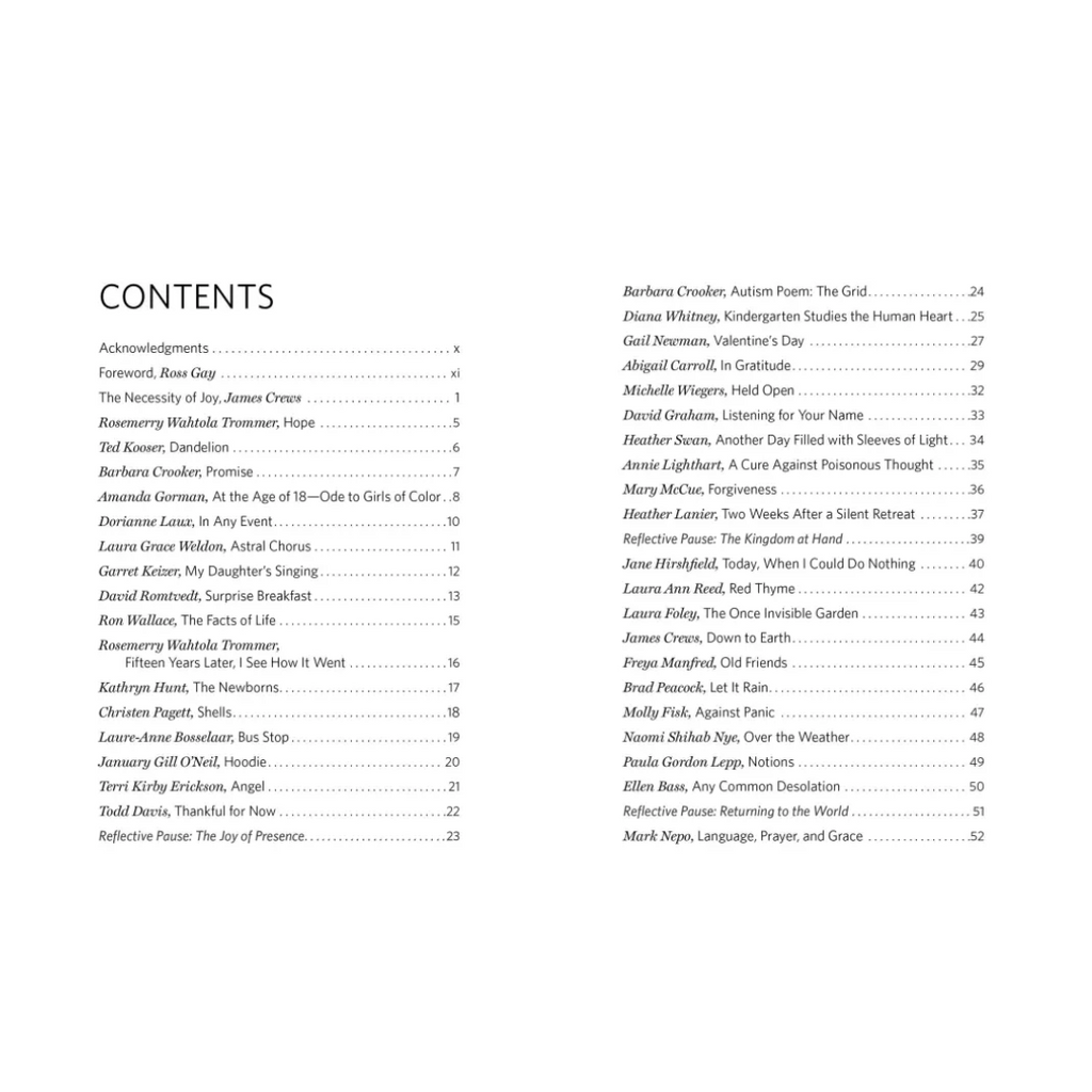 How to Love the World: Poems of Gratitude and Hope - Freshie & Zero Studio Shop