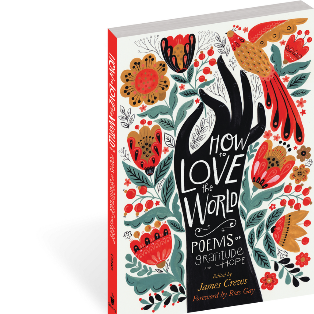 How to Love the World: Poems of Gratitude and Hope - Freshie & Zero Studio Shop