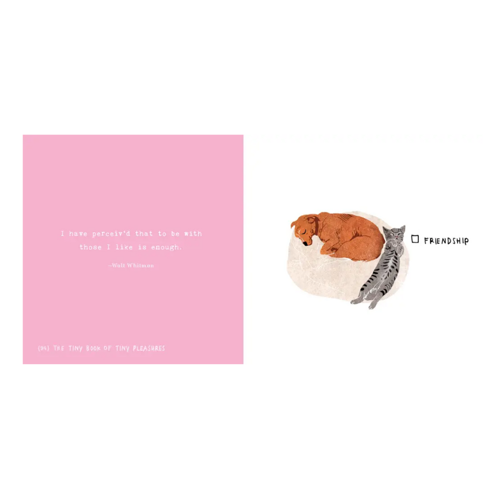 The Tiny Book of Tiny Pleasures - Freshie & Zero Studio Shop