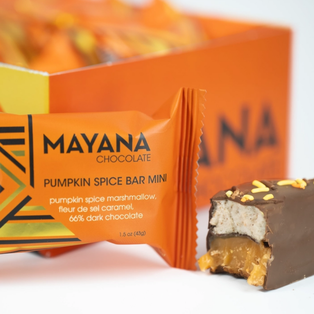 Mayana Mini Bar: Pumpkin Spice - Freshie & Zero Studio Shop