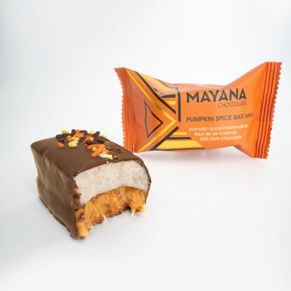 Mayana Mini Bar: Pumpkin Spice - Freshie & Zero Studio Shop