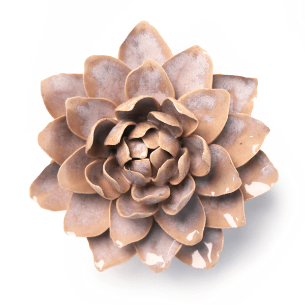 France Collection Ceramic Wall Flower: 5.5" Pink Sand Starbrite Water Lily - Freshie & Zero Studio Shop