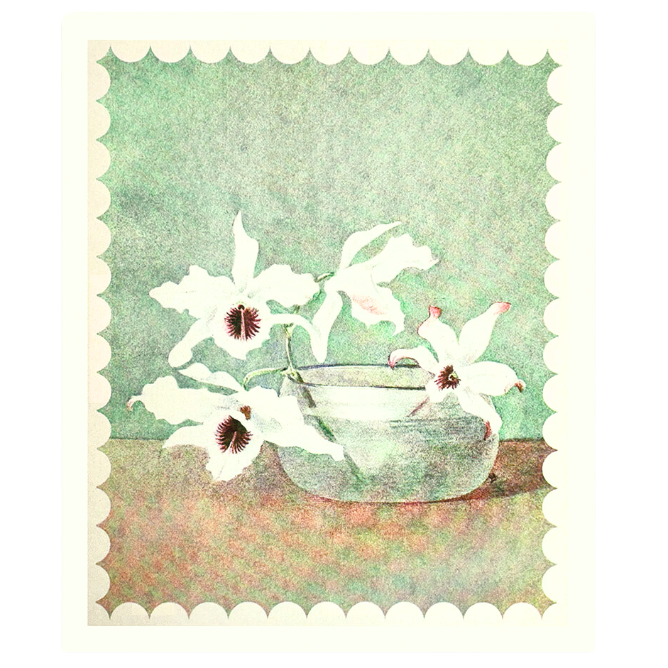 White Orchid In Water Risograph Art Print - 10x12 - Freshie & Zero Studio Shop