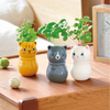 CoroCoro Rolling Head Cat Plant Growing Kit - Freshie & Zero Studio Shop