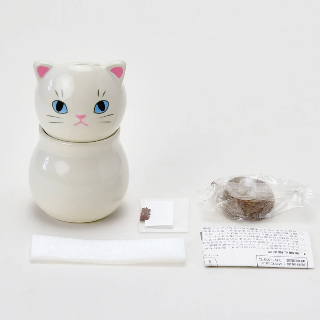 CoroCoro Rolling Head Cat Plant Growing Kit - Freshie & Zero Studio Shop