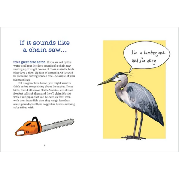 Bird Talk: Hilariously Accurate Ways To Identify Birds By The Sounds They Make - Freshie & Zero Studio Shop