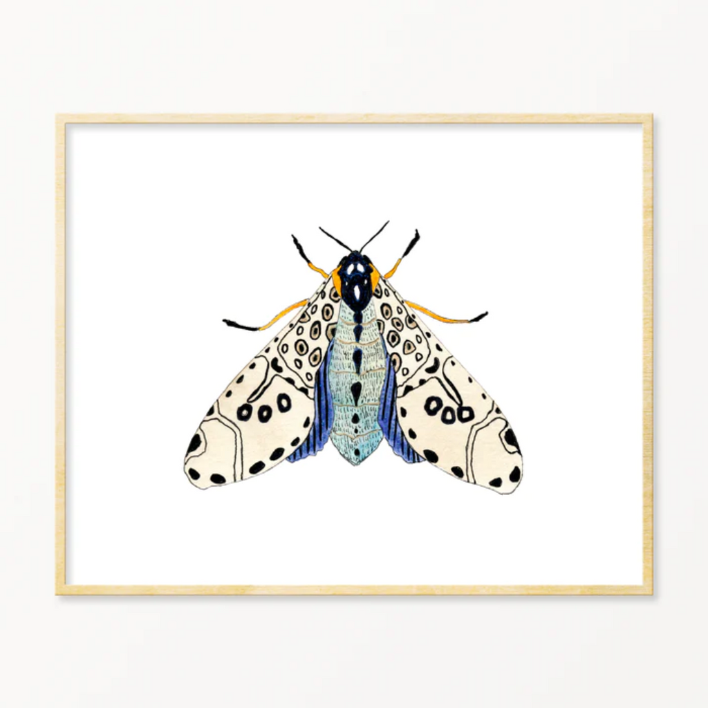 Snoogs & Wilde Art Print ~ Moth #6 - Freshie & Zero Studio Shop