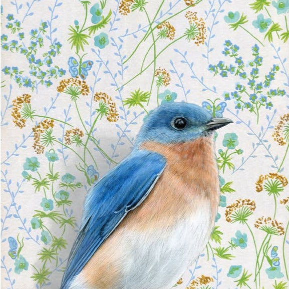 Bluebird Illustration - Fine Art Print - Freshie & Zero Studio Shop