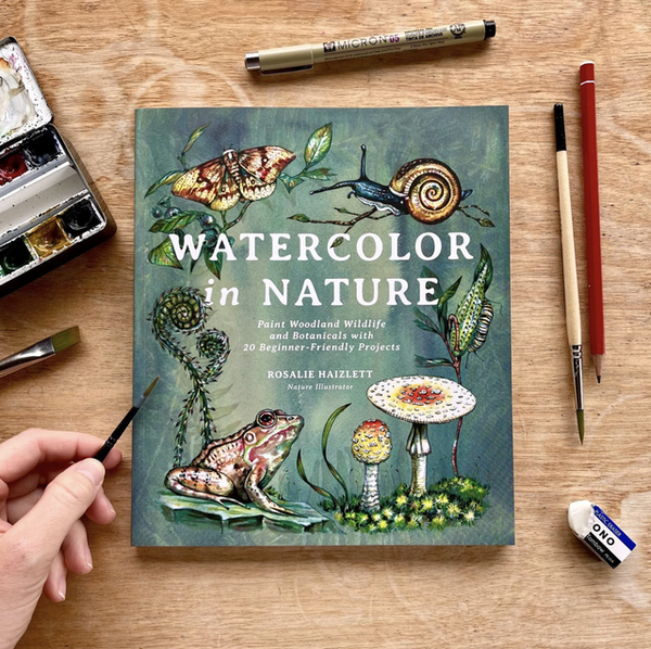 Watercolor In Nature: Woodland Wildlife & Botanicals - Freshie & Zero Studio Shop