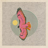 Caroline Clark hawk art print featuring a detailed bird illustration on paper