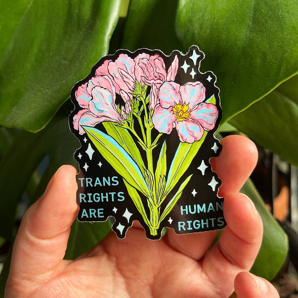 Trans Rights Are Human Rights: LGBTQ Sticker - Freshie & Zero Studio Shop