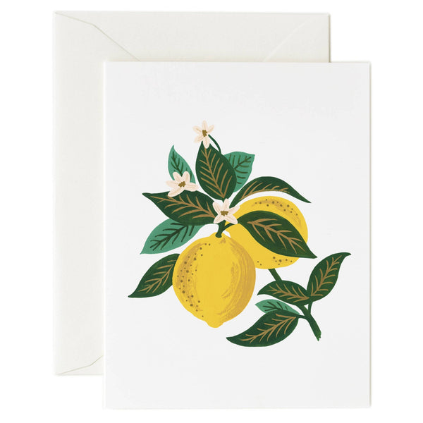 Illustrated Lemon Blossom Blank Card by Rifle Paper - Freshie & Zero Studio Shop