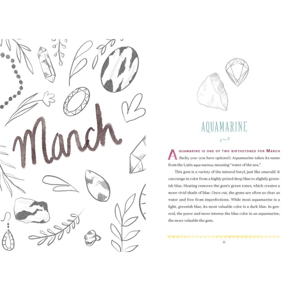 Your Birthstone Book: a treasure trove of gemstone facts - Freshie & Zero Studio Shop