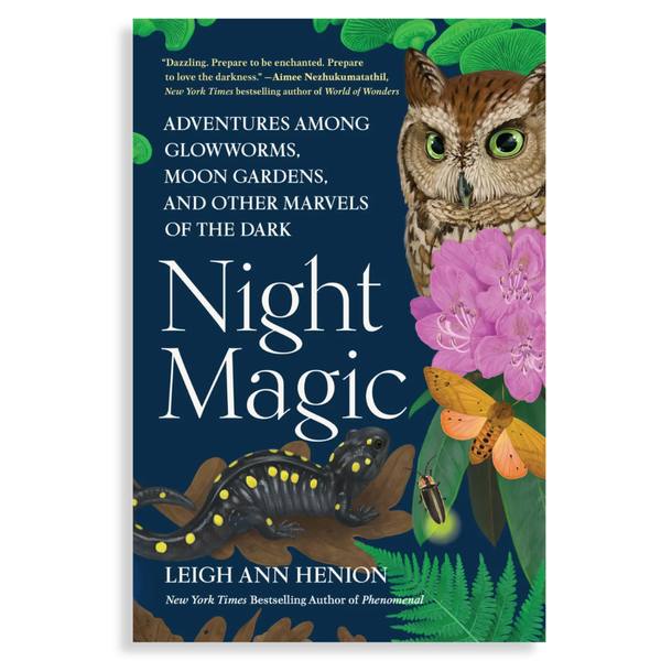 Night Magic: Adventures in the Dark - Freshie & Zero Studio Shop