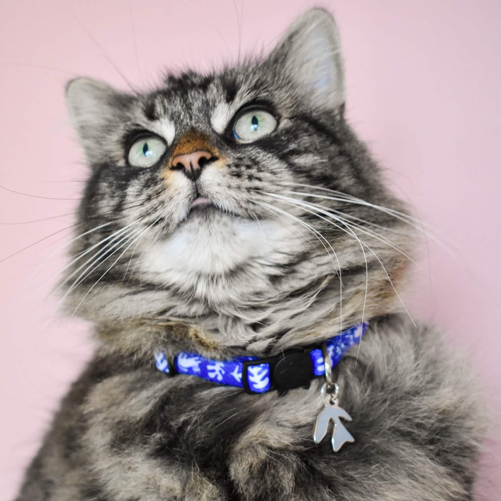 Catisse Artist Cat Collar by Niaski - Freshie & Zero Studio Shop