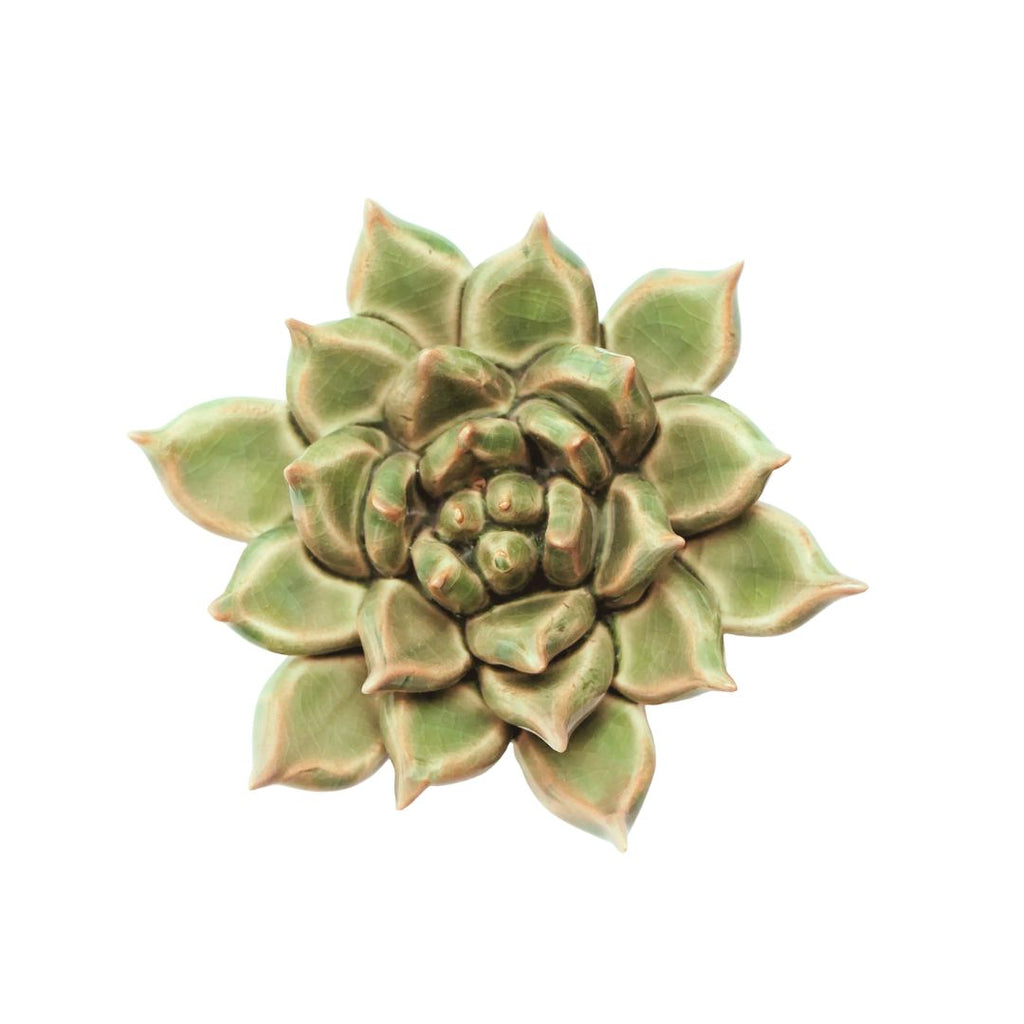 chive succulents Japan Collection Ceramic Flower: 4.3" Green Succulent– Freshie & Zero