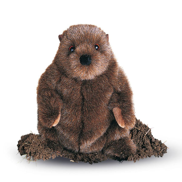 Soft plush Chuckwood the Groundhog toy by Douglas, with detailed fur and friendly face, perfect for children’s play and cuddling.