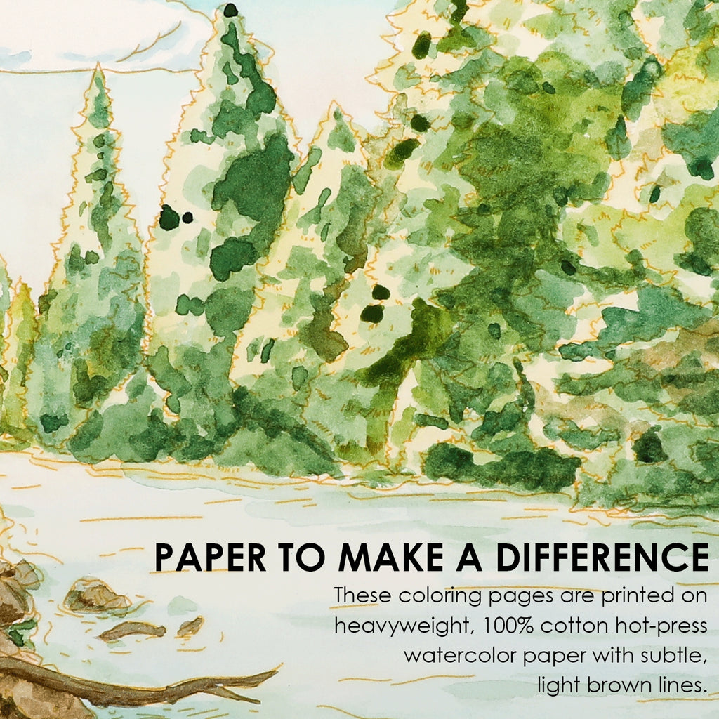 Watercolor Coloring Book: Forest Themed - Freshie & Zero Studio Shop